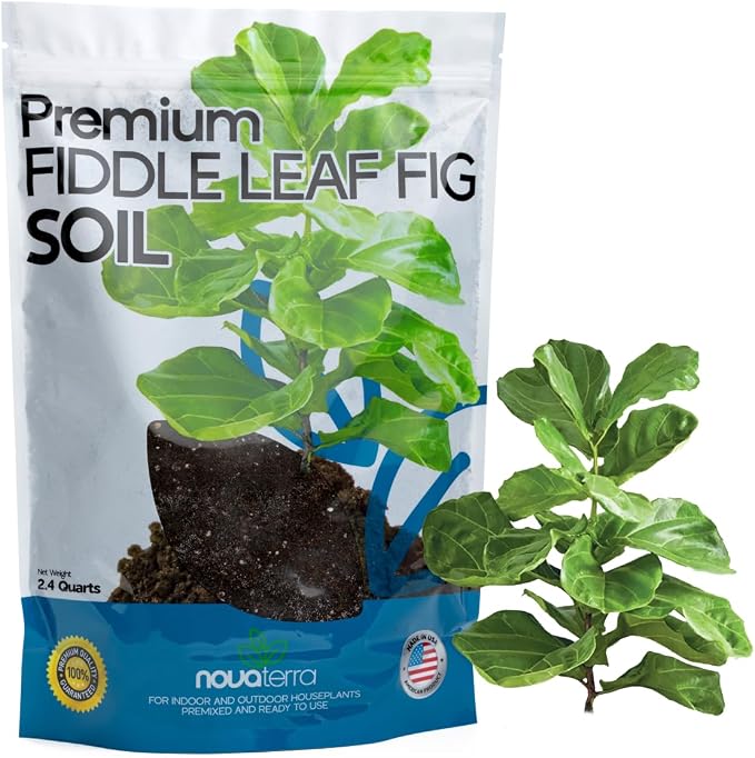 Fiddle Leaf Fig Soil