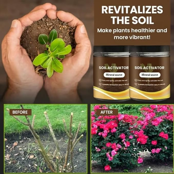 1Pc