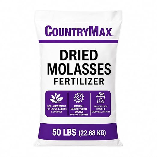 Dried Molasses