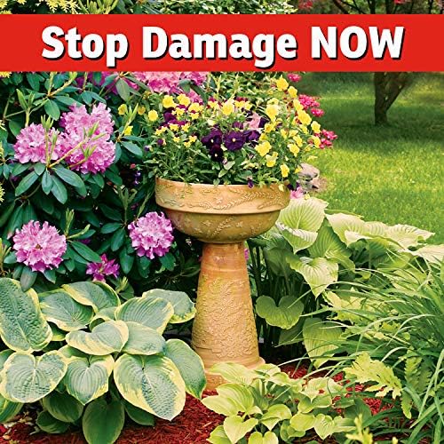 __DEFAULT__