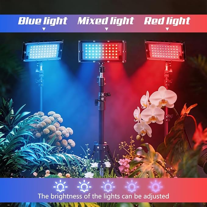 Grow Light