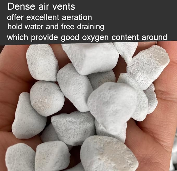 Large Perlite