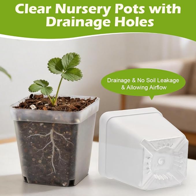 Clear Pot+domes 60p