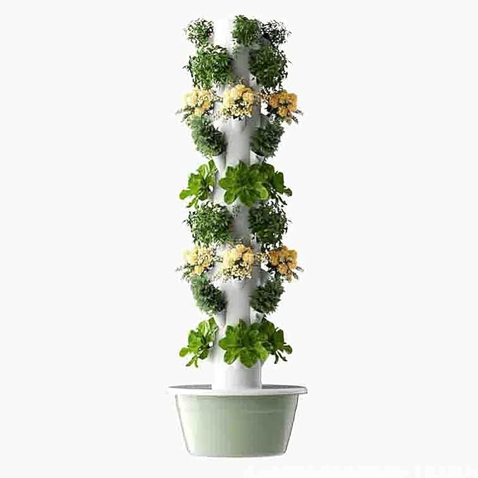 9 Tier
