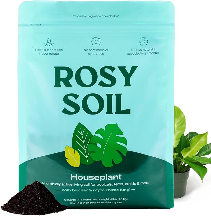 Houseplant