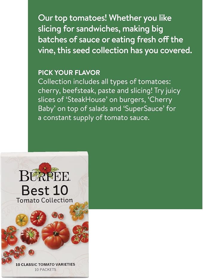 Best 10 Tomato Collection