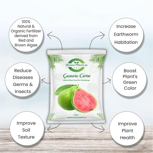 Guava