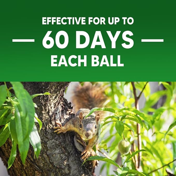 __DEFAULT__