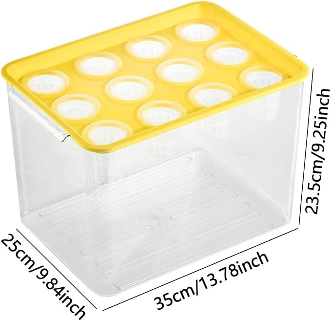 Yellow Lid