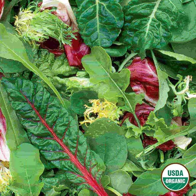 Mesclun Gourmet Greens Mixture Organic Seed Multipack - 7 Pack