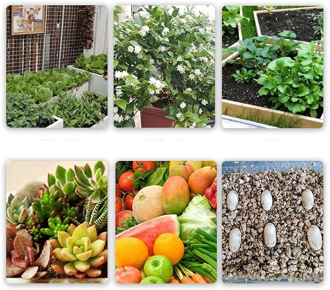 Medium Vermiculite