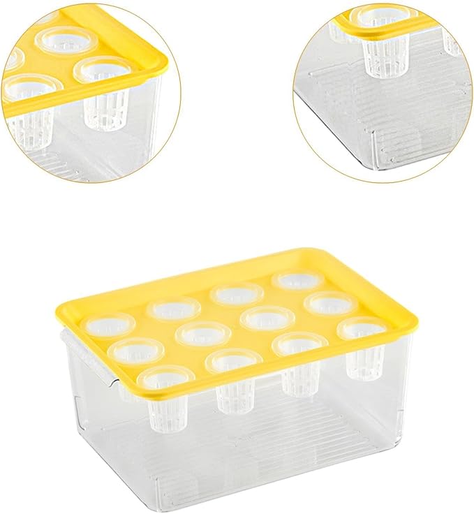 Yellow Lid