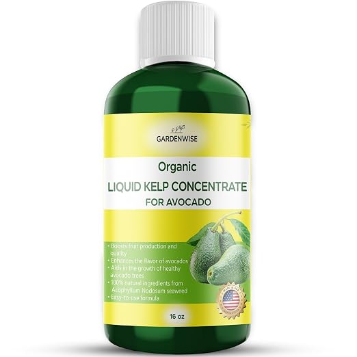 Avocado Tree Kelp Fertilizer