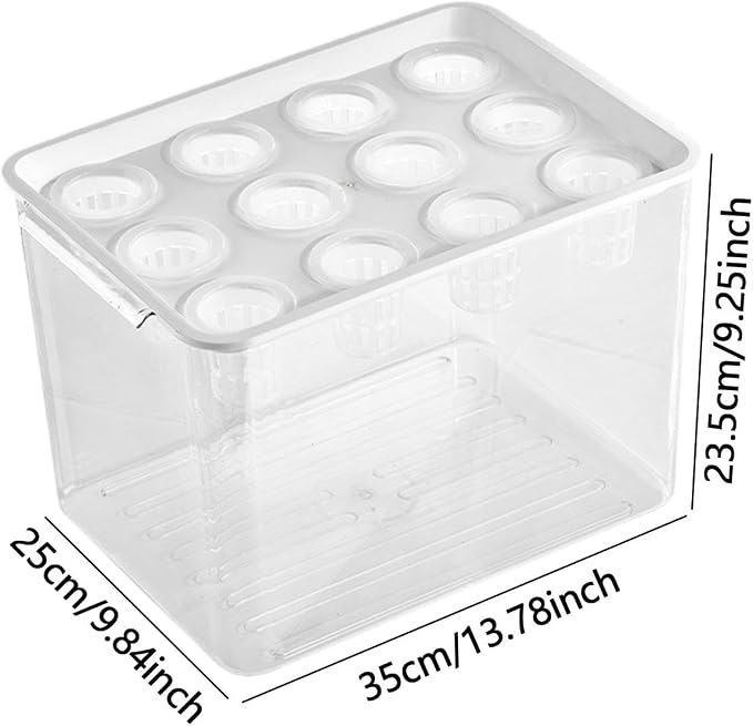 White Lid
