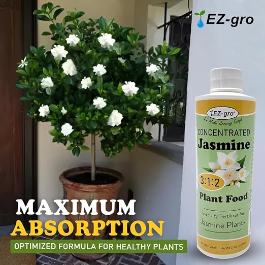 Jasmine