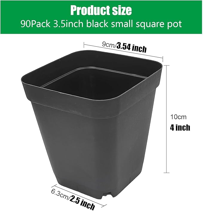 Black-90p