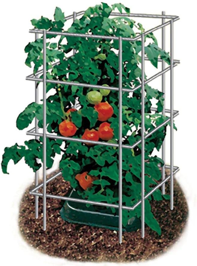 ,
