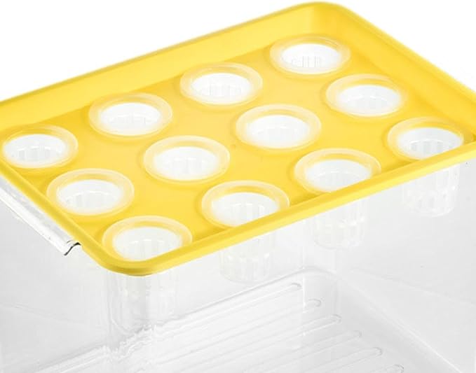 Yellow Lid