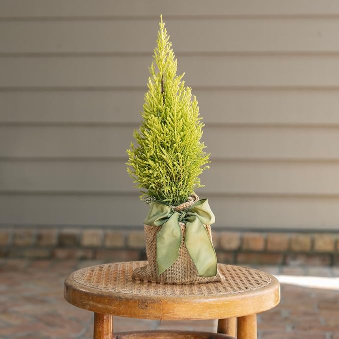 cypress-lemon