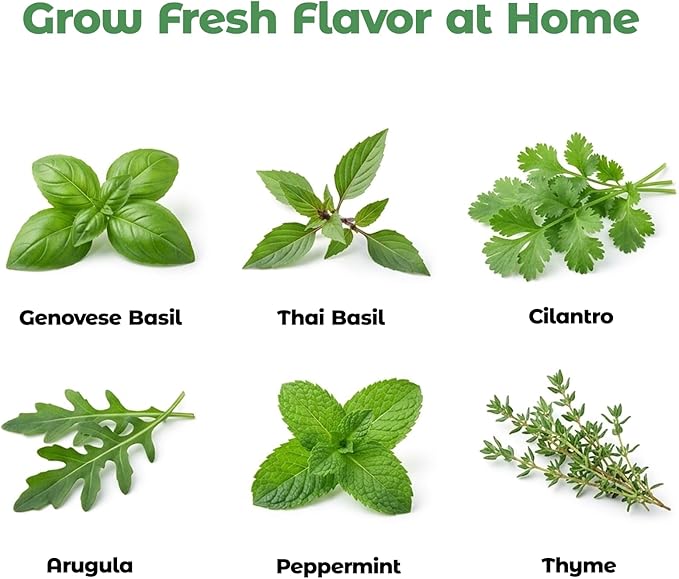 Herbs