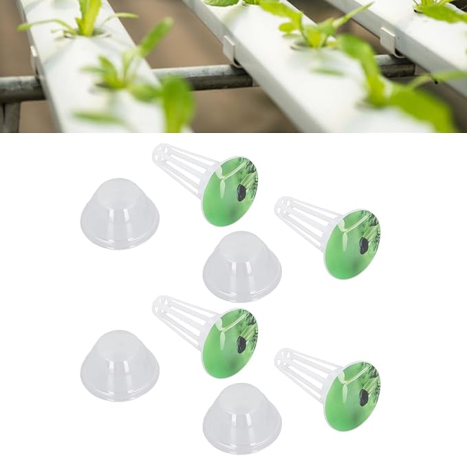 Set 3