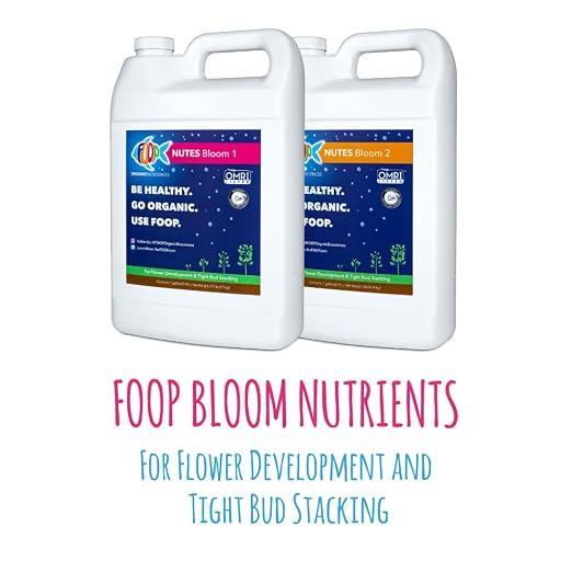 Veg & Bloom