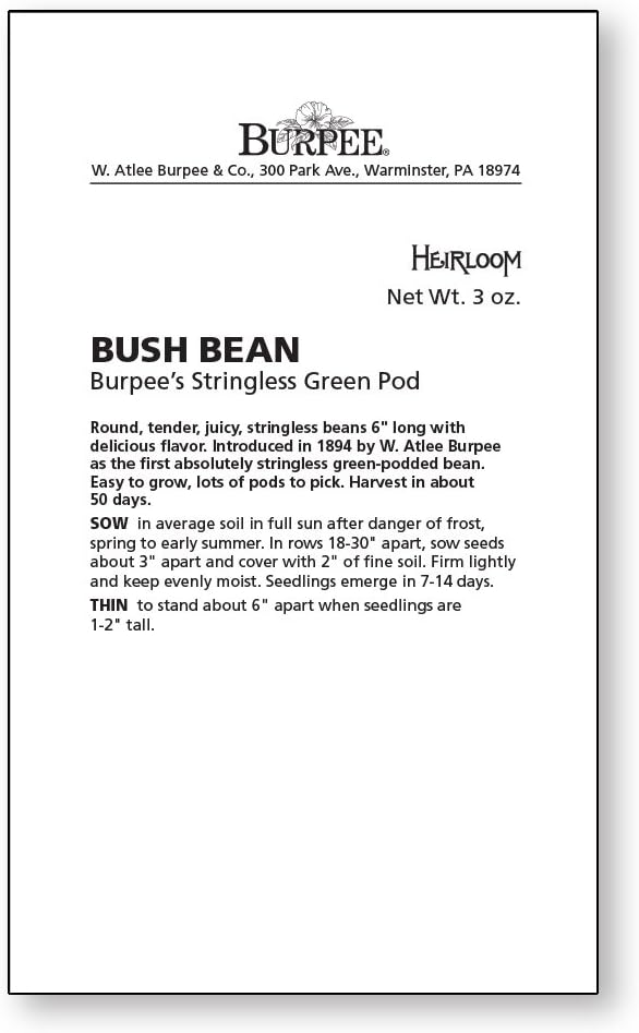 Stringless Green Pod