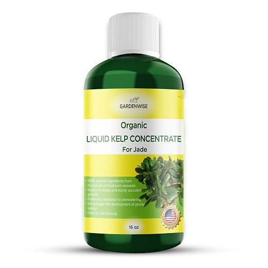 Jade Plant Kelp Fertilizer