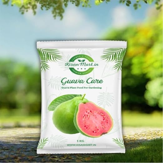 Guava