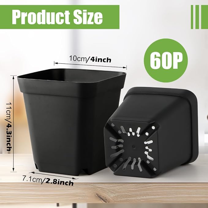 Black-60p