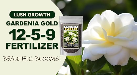 Gardenia Gold
