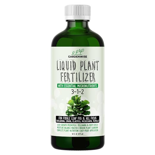 Fiddle Leaf Fig Food 3-1-2