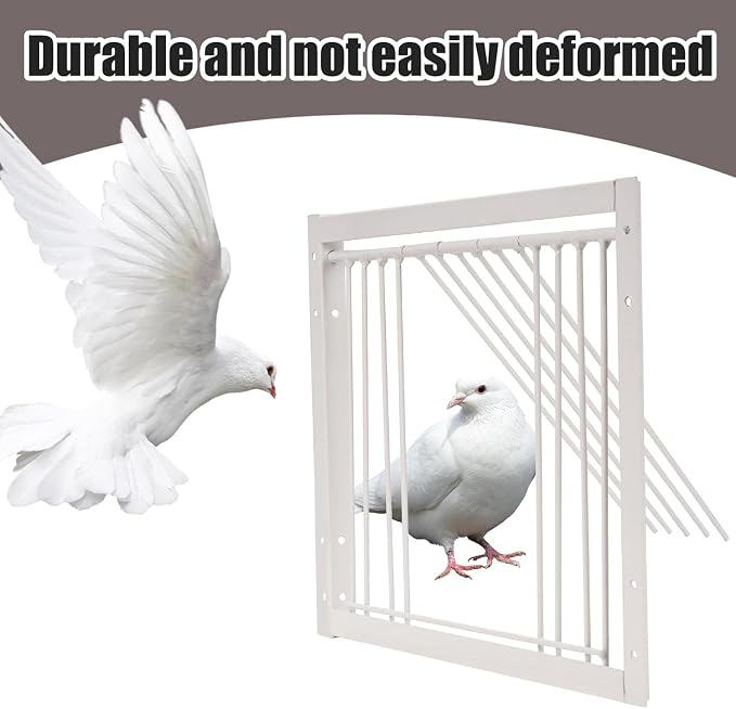__DEFAULT__