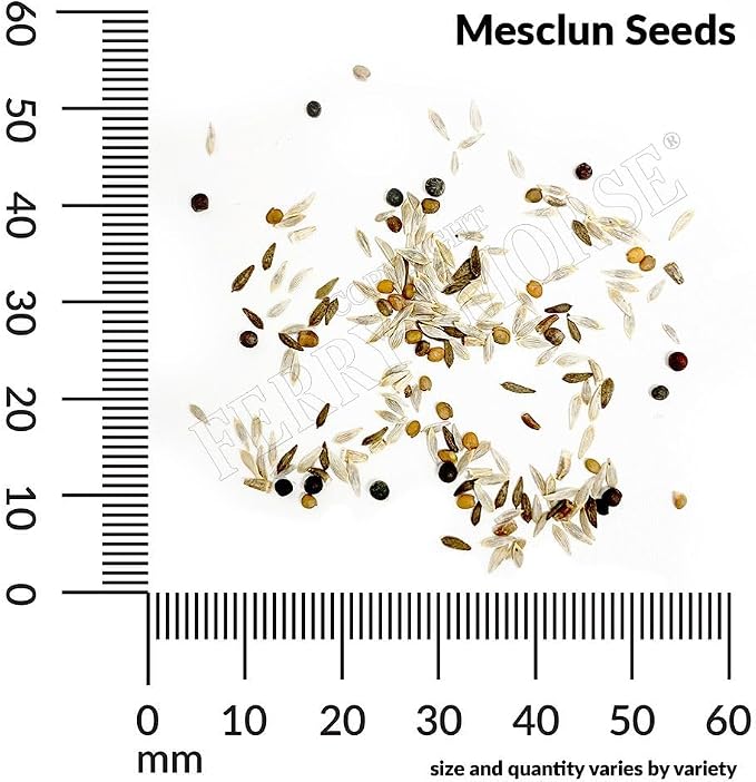 Mesclun Gourmet Greens Mixture Organic Seed Multipack - 7 Pack
