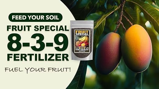 Fruit Special
