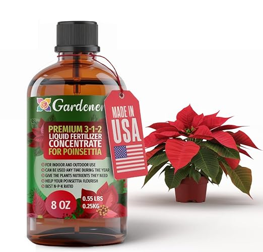 POINSETTIA FLOWERS