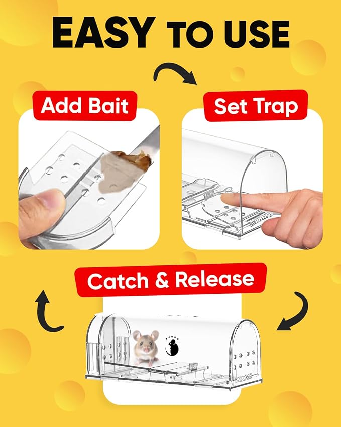 4 Pack - White