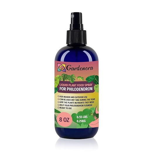 PHILODENDRON