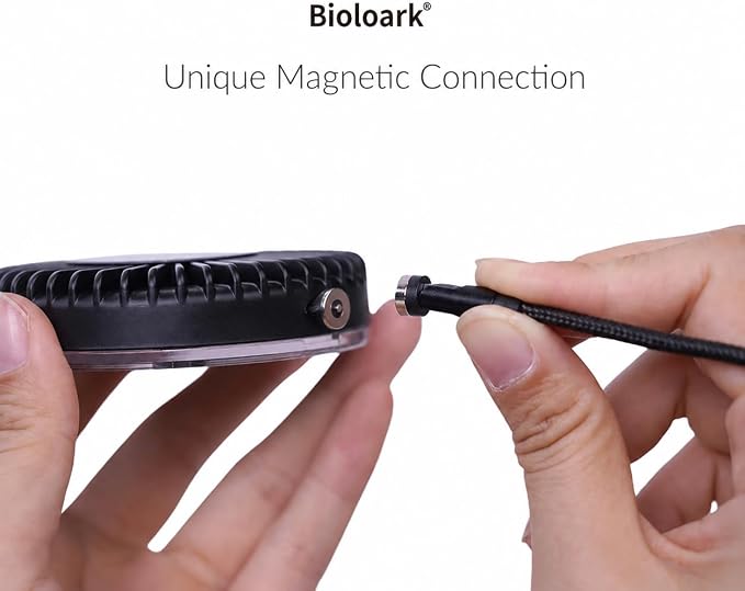 Magnetic light
