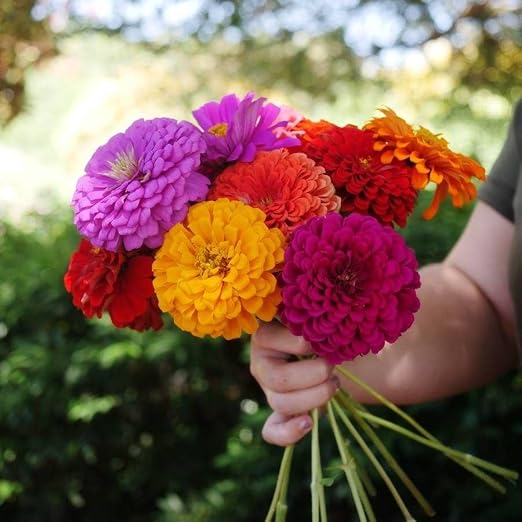 Flowering Fertilizer