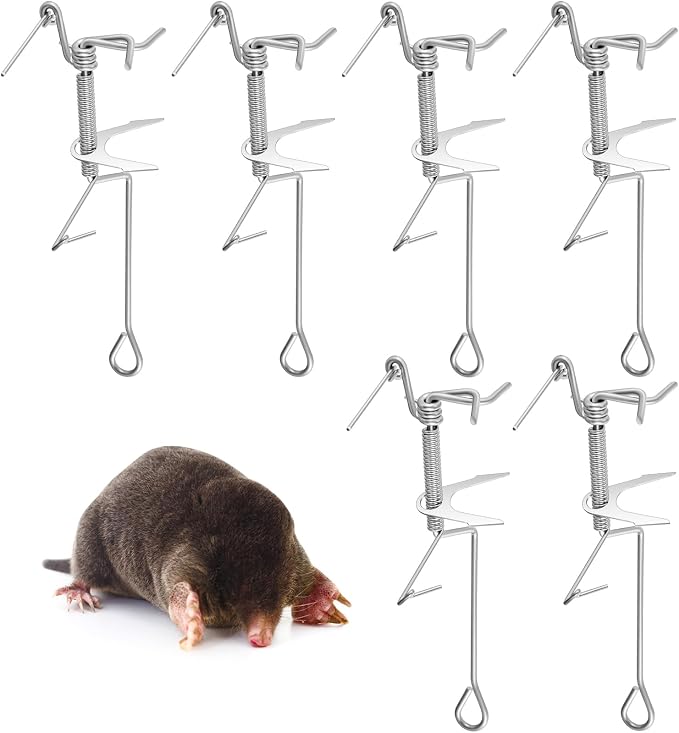 __DEFAULT__