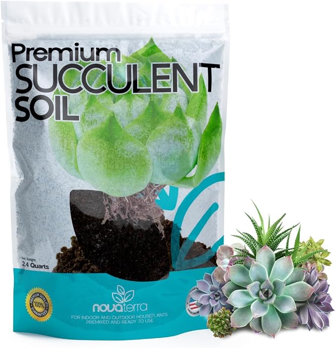 Succulent Soil