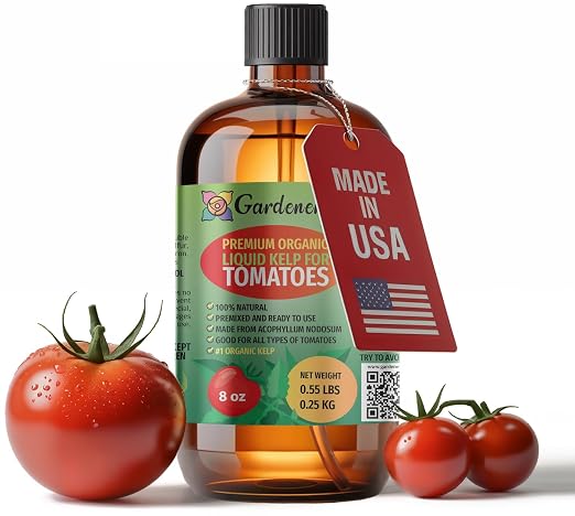 Tomato Plants