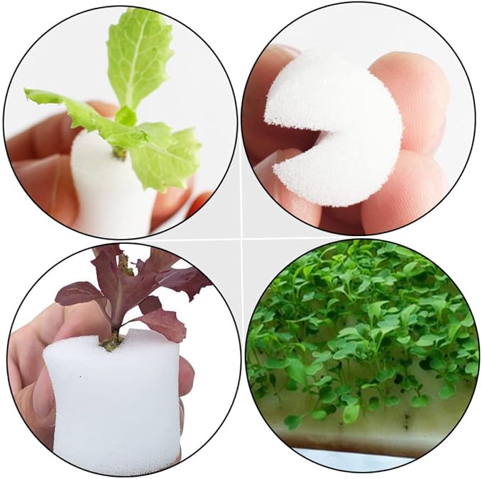 Whitex2pcs