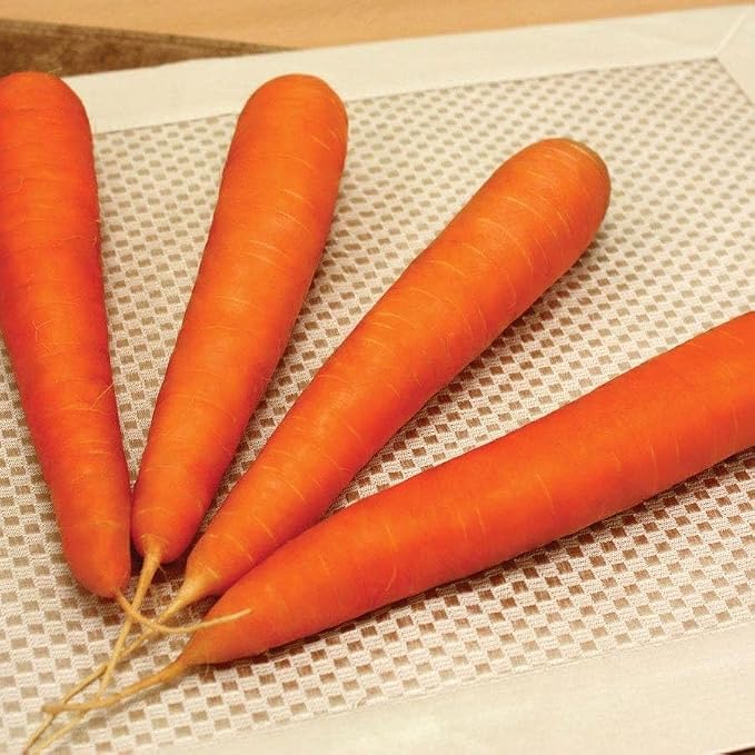 Ultimate Vegetable Soup
