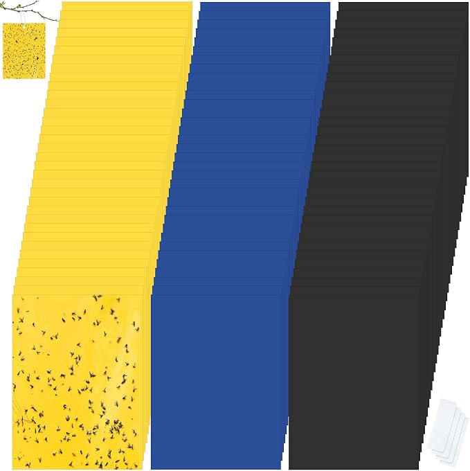 Yellow,Blue,Black