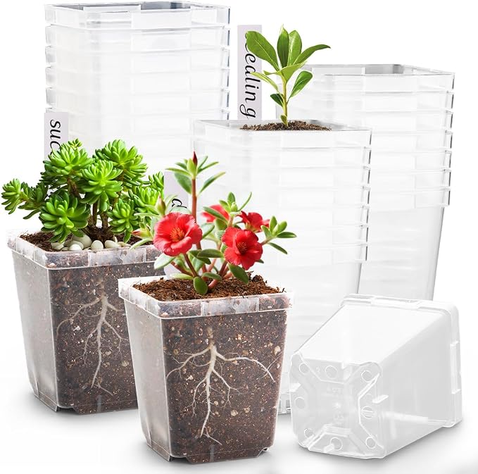 Clear Pot+lable-90p