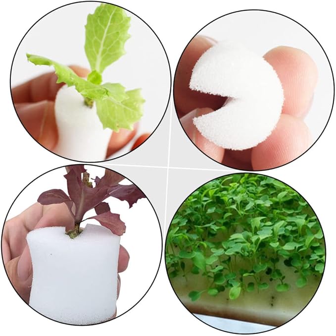 Whitex3pcs
