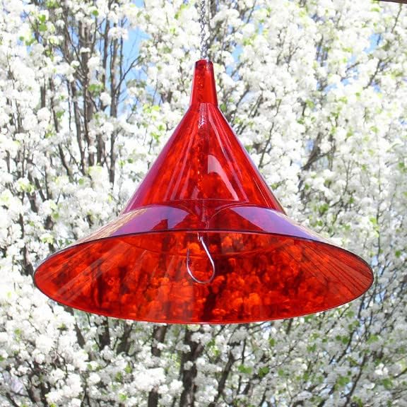 Ruby Red