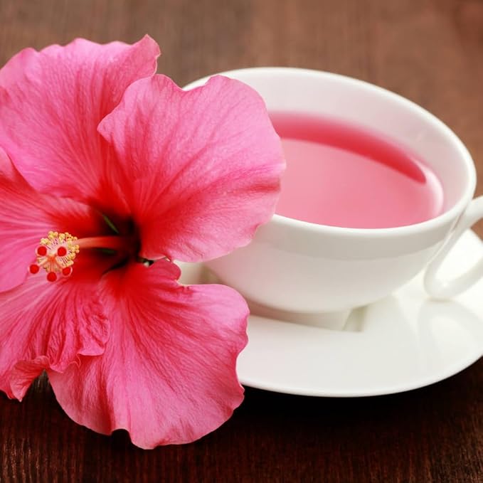 hibiscus-pink